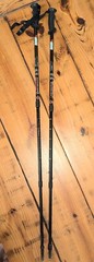 Denali Air shock Trekking Poles