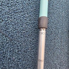 LL Bean Winter Walker Walking Hiking Sticks Set Telescopic Pole 100-130cm Bk1a