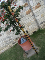 WALKING HIKING STICK STAFF WOODEN WILLOW HAND MADE IN USA TEXAS 57.75″ 3lb 13oz