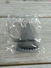 Compass Key Chain
