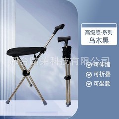 Foldable Walking Cane with Chair 2‑in‑1 Walking Stick for Elderly Unisex Black