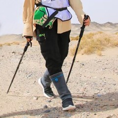 Pair of Hiking Trekking Poles Walking Sticks Alpenstock Telescopic Anti-Shock