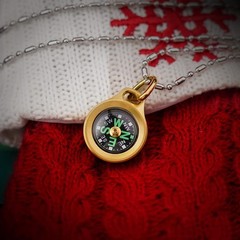 Mini Titanium/Brass Compass, Waterproof Pocket Compass for Hiking & Survival,…