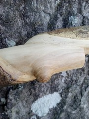 Handmade Snake/Python Cane Solid One Piece Walking Stick