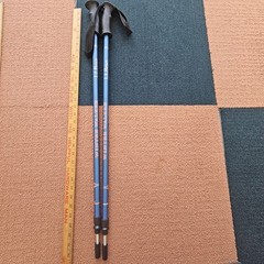 LL Bean Winter Walker Walking Hiking Sticks Set Telescopic Pole 110-145cm Bk1a