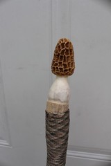 Custom Made Diamond Willow Walking Hiking Stick with Carved Antler Morel Topper