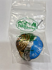 Lot of 4 Hike America Walking Stick Badges Mounts: Colorado Kings Canyon Glacier
