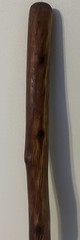 54” Natural Vine Twisted Dogwood Walking Stick Cane Wood Staff Trekking 4” Grip