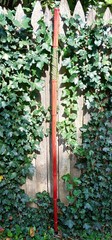 65″ – Bamboo – Walking Hiking Trekking Stick/Staff – Paracord Grip & Strap – #55