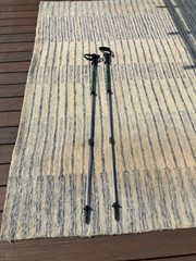 Black Diamond Switchback Trekking Poles