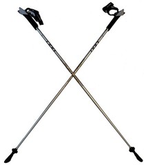 LEKI Nordic Walker Platinium Limited Edition Carbon Series 125cm Silver