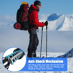 2X Trekking Poles Nordic Walking Hiking Sticks Adjustable Anti-shock Alpenstock