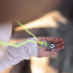 Sun Company Wildlife Compass for Kids – Childrens Compasses for Camping, Hiki…