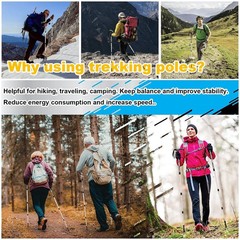 Ultralight Collapsible Aluminum Alloy Quick Lock Trekking Pole Anti-Shock