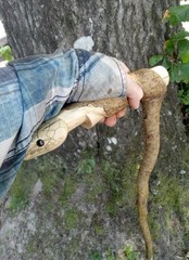 Handmade Snake/Python Cane Solid One Piece Walking Stick