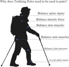 Trekking Poles Walking Hiking Sticks Anti-shock Adjustable Alpenstock