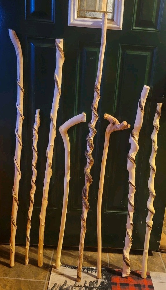 🔥BEAUTIFUL! Set of 8 HAND PEELED Cut Vine Twisted Stick ~ Read Description