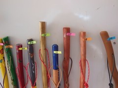HIKING/WALKING STICK MADE FROM NEW MEXICO YUCCA PLANT FLOWER STALK NUMBER 34