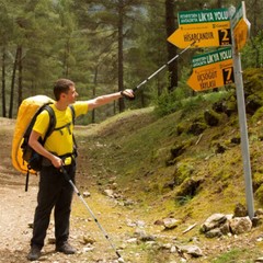 Tactical Trekking Poles Walking Climbing Cane Camping Hiking Survival Sticks USA