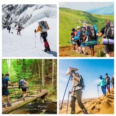 Trekking Poles Nordic Walking Hiking Sticks Adjustable Anti-shock Alpenstock US