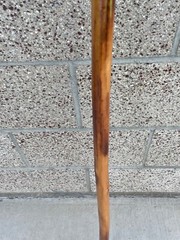 Wood Hiking Stick SE Root Wood 55″ Hiking Stick NWT WS631-52RH