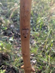 Handmade Animal Staff