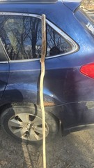 Maine-Made Hickory Walking Stick – Rustic Hand-Carved Staff