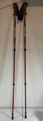 Hoover Dam 2-Piece Fitness Walking Poles Red