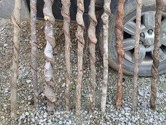 BEAUTIFUL!! Set of 10 FRESH Cut Vine Twisted Stick with Bark~ Read Description