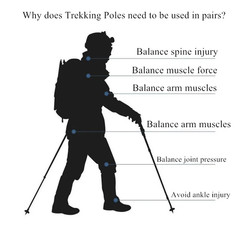 Aluminium Alloy Trekking Poles Ultralight Adjustable No Slip Nordic Walking Stic