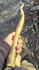 Maine-Made Hickory Walking Stick – Rustic Hand-Carved Staff