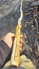 Maine-Made Hickory Walking Stick – Rustic Hand-Carved Staff