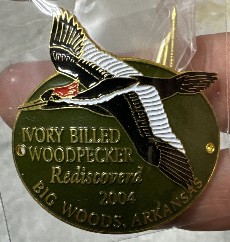 Ivory Mountain Woodpecker Hiking Staff Stick Medallion NEW Arkansas Bird