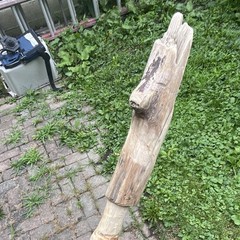 Hand-Carved Wooden Walking Stick Cane w/ Animal Head Handle, Brown, Unisex