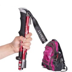 ADJUSTABLE TREKKING POLES