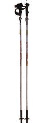 Black Diamond Distance FLZ Folding Trekking Poles Pair