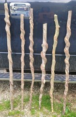 🔥BEAUTIFUL! Set of 6 FRESH Cut Vine Twisted Stick with Bark~ Read Description