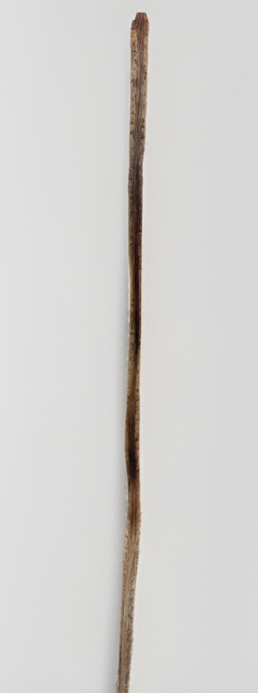 VTG Weathered Driftwood Skinny Tall Walking Stick 63.5″ Strong Staff OOAK Raw MN