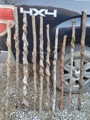BEAUTIFUL!! Set of 10 FRESH Cut Vine Twisted Stick with Bark~ Read Description