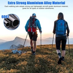 2x Trekking Poles Nordic Walking Hiking Sticks Anti-shock Adjustable Alpenstock