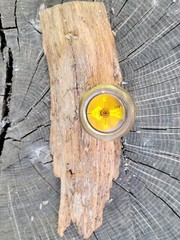 Vintage West Germany Brass Hiking / Camping Pin On Compass