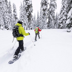 Dynalock Trail 2-Section Alumunium Backcountry Poles, White, 80-140Cm