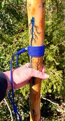64” Sweetgum FRACTAL LICHTENBERG Walking HIKING Stick Handmade & Finished 🇺🇸