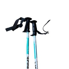 Exerstrider Total Fitness Trekker Walking Hiking Poles By Tom Rutlin VTG 48″
