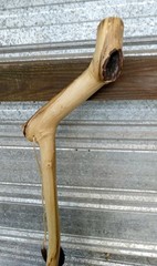 Handmade Rustic Crooked Walking Stick Feathered Staff