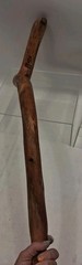 Natural Twisted Wood Hiking Stick – Handmade-Painted Design Initialed Look Read