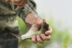 Fishing Tool Kit: Multi-Function Pliers, Scale & Gripper – Gift Ready!