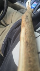 Maine-Made Hickory Walking Stick – Rustic Hand-Carved Staff