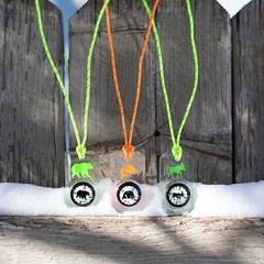 Sun Company Wildlife Compass for Kids – Children’s Compass