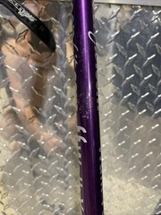 Keenfit 2-Piece Fitness Walking Poles Purple Extra Feet Tips Adjustable